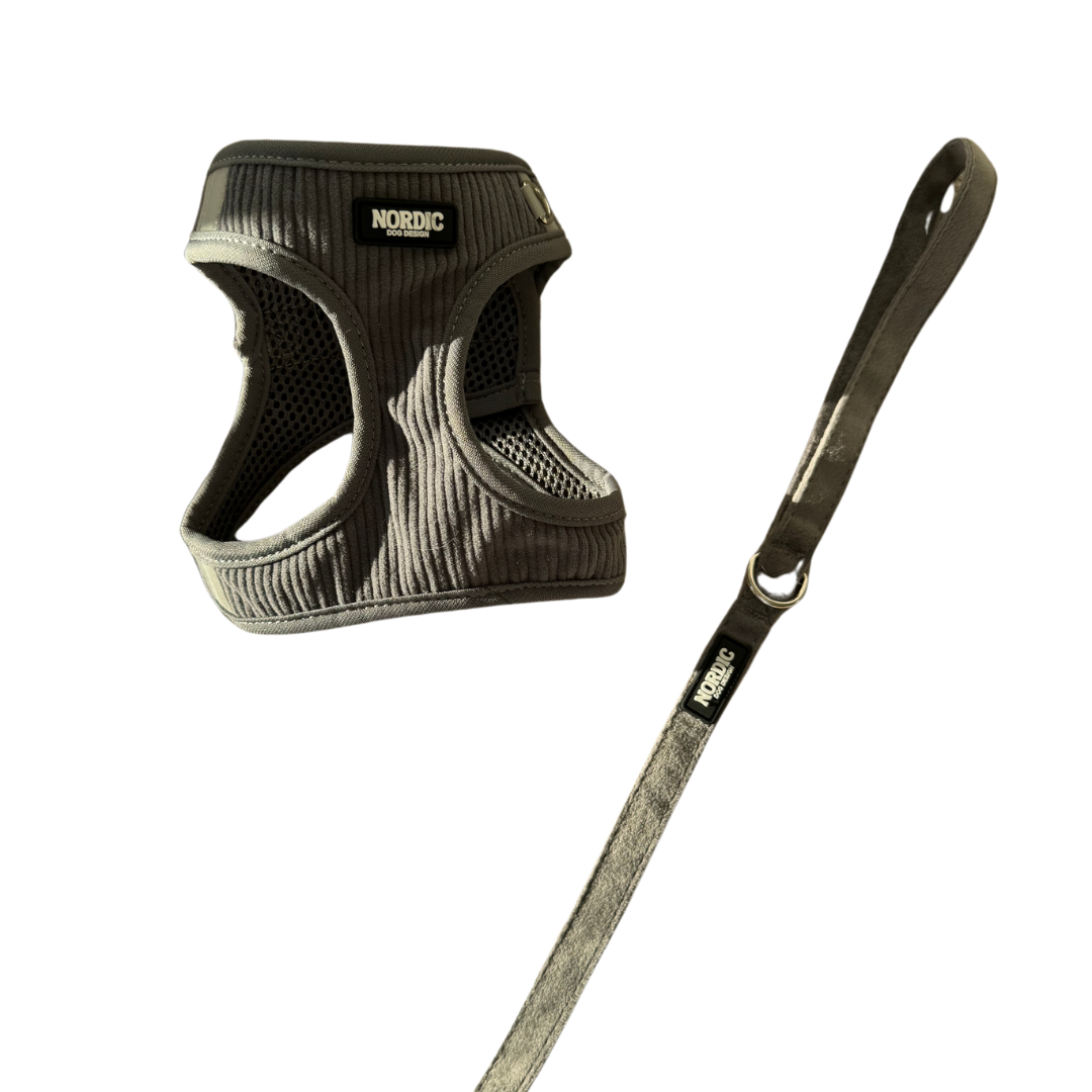 DAWN MATCHING SET - GREY VELOUR