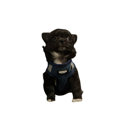 STOCKHOLM HARNESS / SELE - DARK DENIM