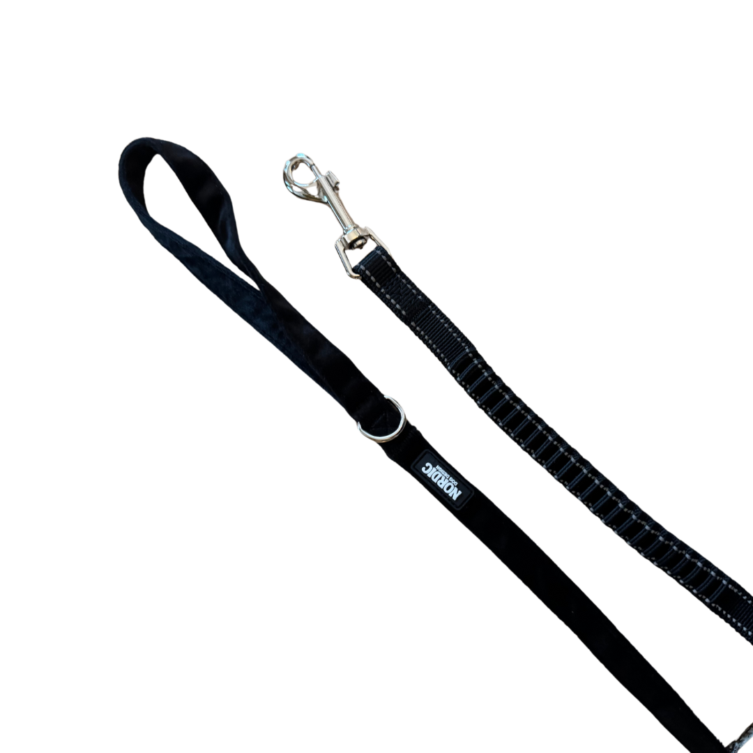 MIGNIGHT LEASH  / SNOR - BLACK VELOUR