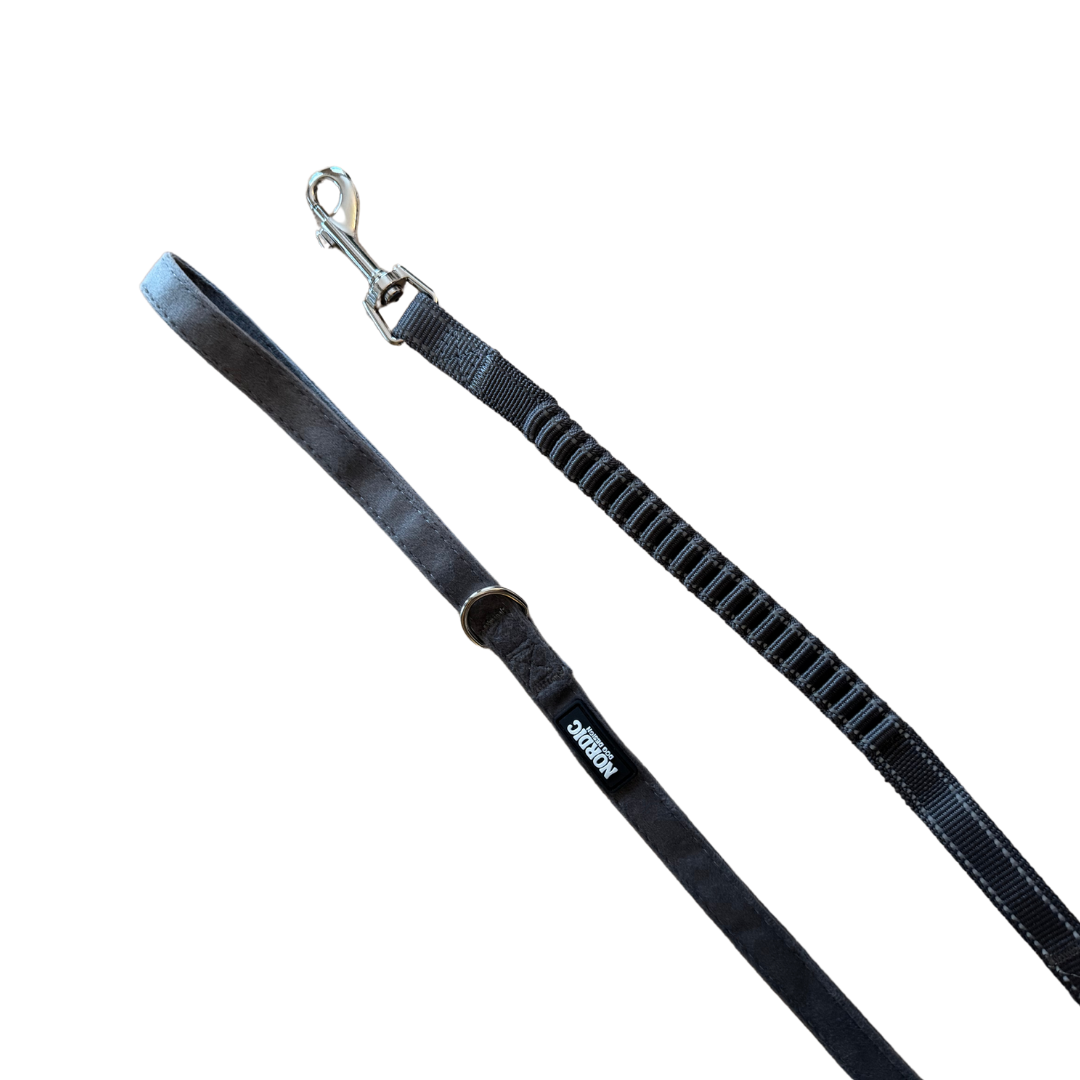DAWN LEASH  / SNOR - GREY VELOUR