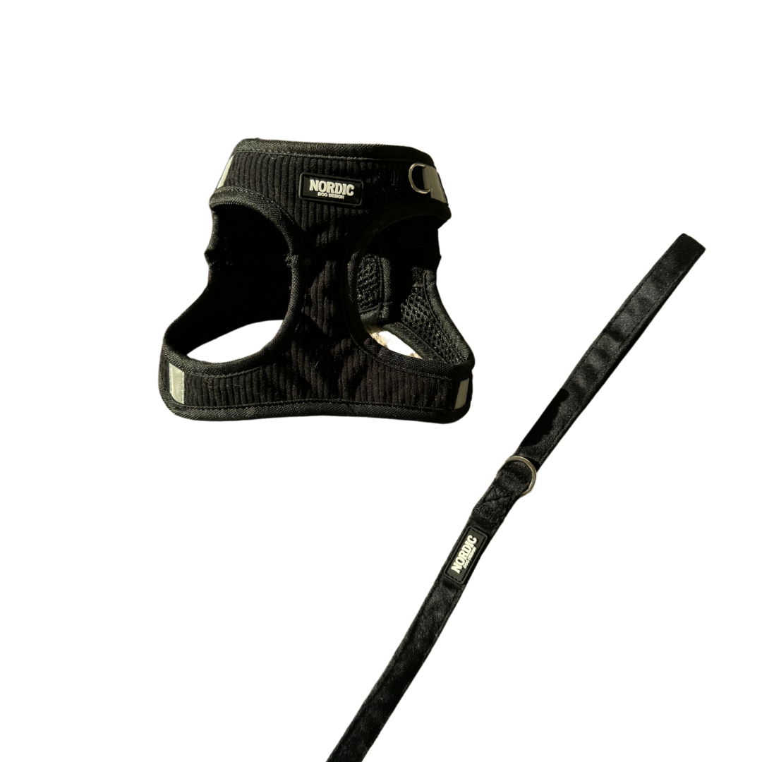 MIDNIGHT MATCHING SET - BLACK VELOUR