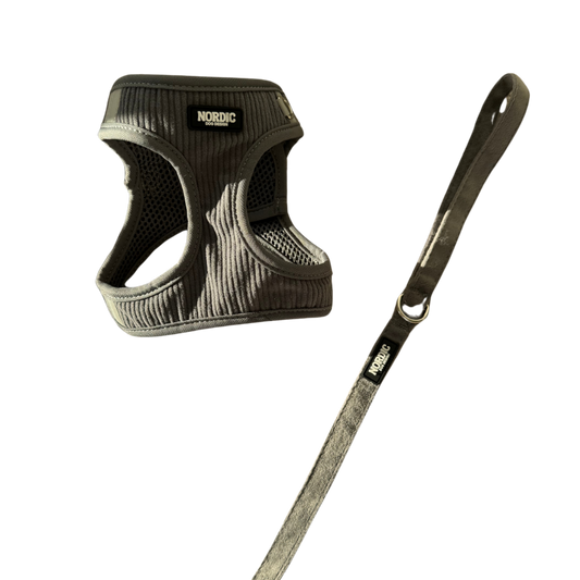 DAWN MATCHING SET - GREY VELOUR