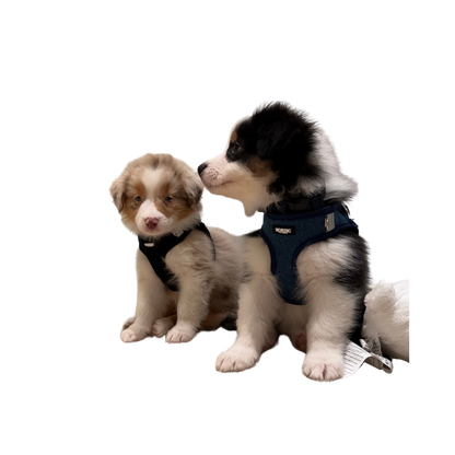 STOCKHOLM HARNESS / SELE - DARK DENIM